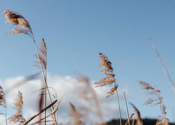Rainer فندق Pörtschach am Wörthersee